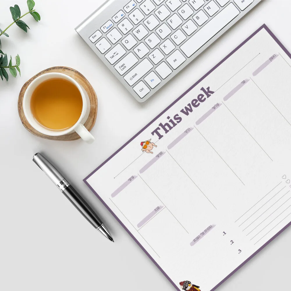 תכנון שבועי | דגם חברים