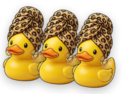 ברווזון מועדון Duck Loyalty – סקאצ׳י