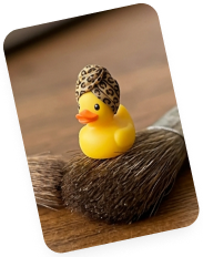 ברווזון מועדון Duck Loyalty – סקאצ׳י